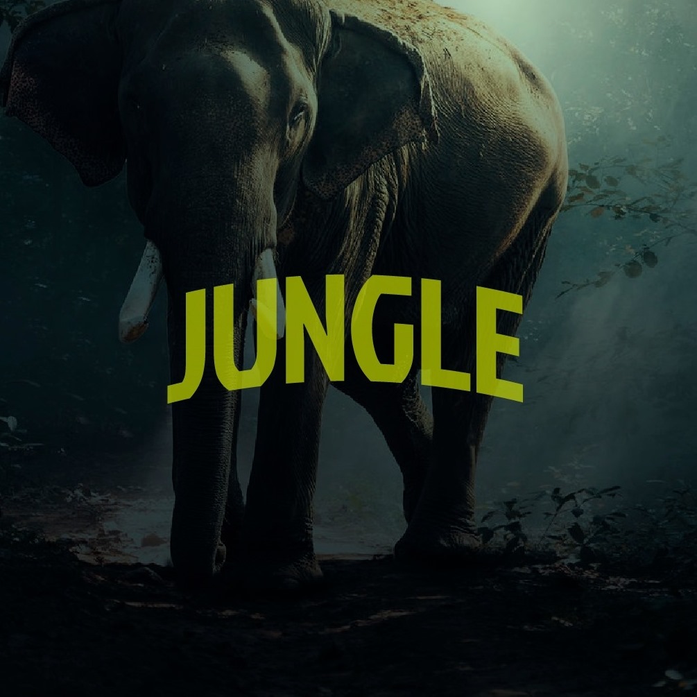 Jungle